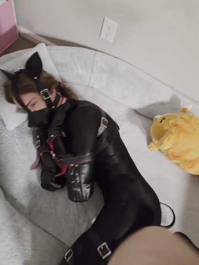 Naughty puppy refused to get out of bed