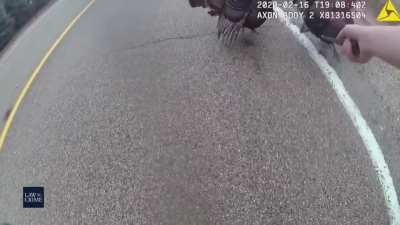 Turkey's ganging up on a police officer