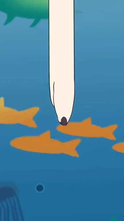 what did I just watch