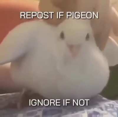 I'm 15 and this is yeet