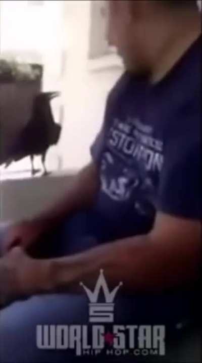 Nice bird...