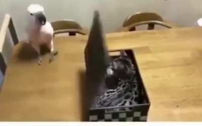 Maybe maybe maybe