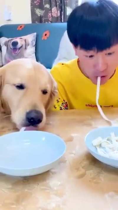 Slurp Slurp