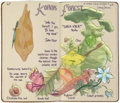 [BOTW] [OC] I made a field guide about the Korok Forest (but it&rsquo;s magical!)