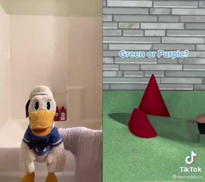 Don&rsquo;t do this do Donald ducc&hellip;