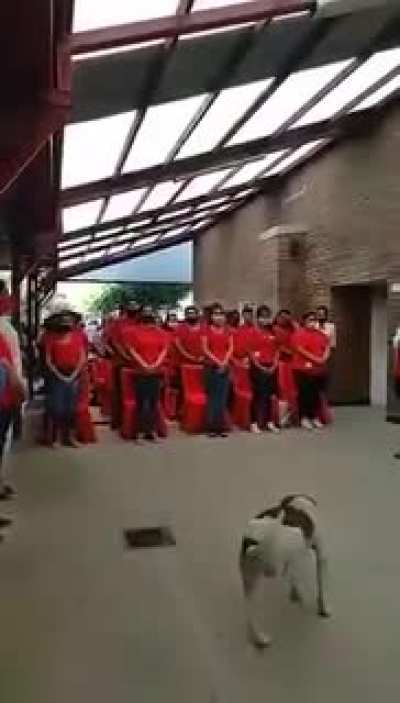 Graduación ERP 2020 (Chaco)