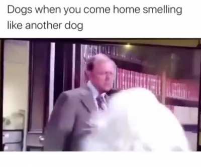 Traitor!