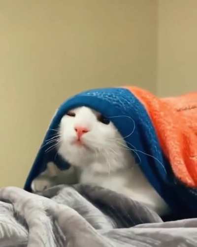 When your alarm didn&rsquo;t ring &amp;amp; you realize you overslept