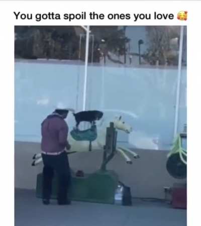 LOOK AT THAT TAIL GO
