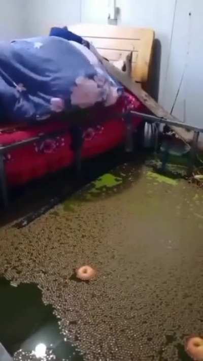 Just an average morning