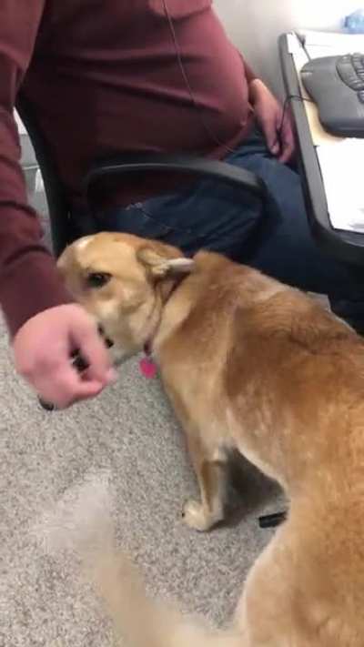 No PDA