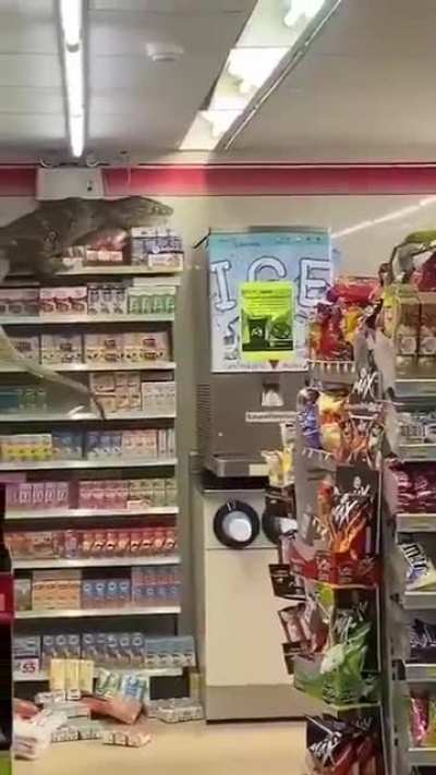 Great. now I have to add dinosaurs to the list of reasons why I&rsquo;m scared to go into 7Eleven