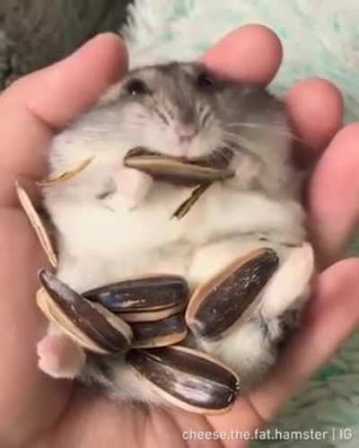 The meaning of relaxation