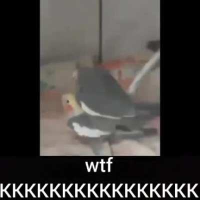 porra meno