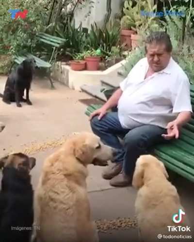 Esos perros son m&aacute;s educados que todos los argentinos juntos