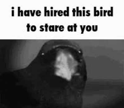 👀