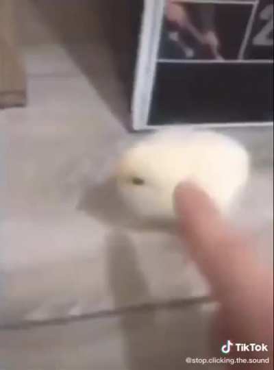 What&rsquo;s up bro