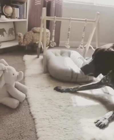 Toy sorcery