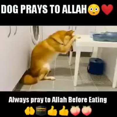 Allah