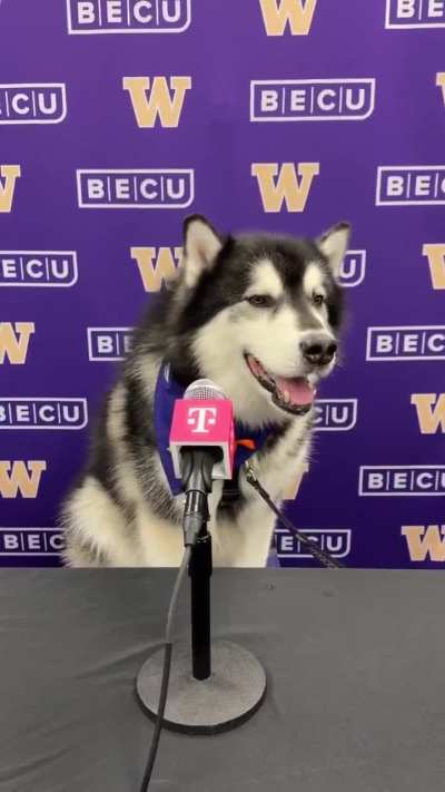 I wasn&rsquo;t a fan of some of his calls but I 100% agree with the general direction bro thinks the team should be going in.