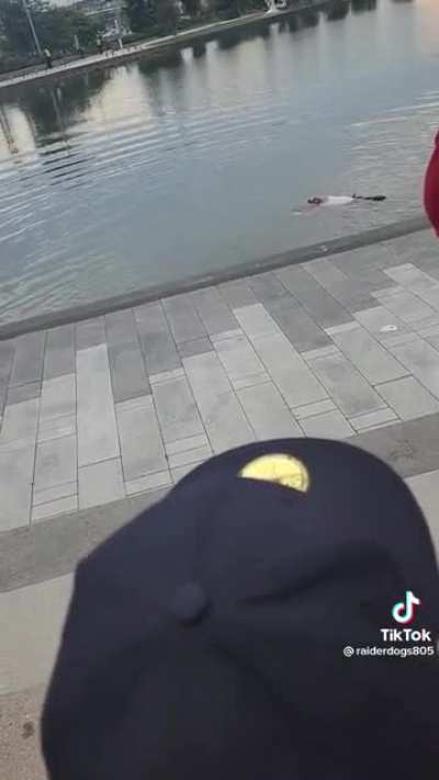 Fan from Fresno State KOs self diving into SOFI River