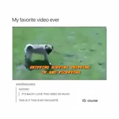 Not jack related but it is from Ireland I am not the original creator I just found while scrolling iFunny and I know how much jack loves funny animal videos so here you go
