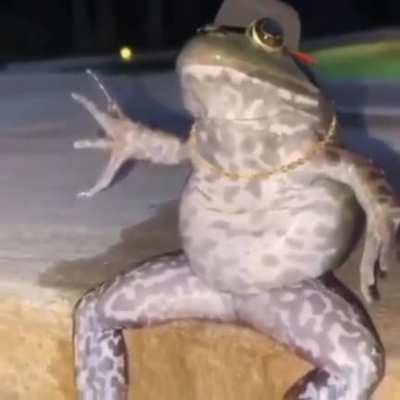 swag phrog