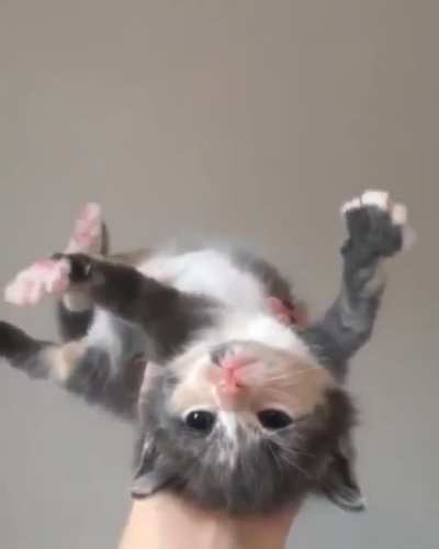 Touch tha Air