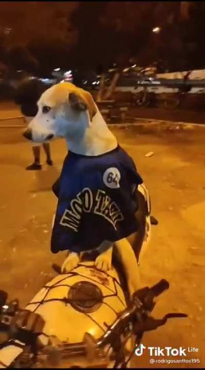 Cria