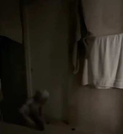 A playful trick.