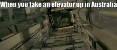 This is why Kangaroos never take elevators