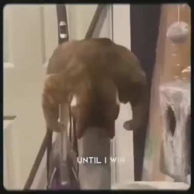 "We're done when I say we're done"- Me to all of fucking existence
