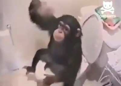 yes