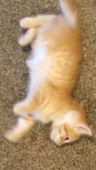 he&rsquo;s doin an attack