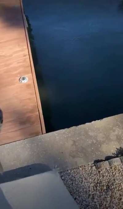 How&rsquo;d you get here