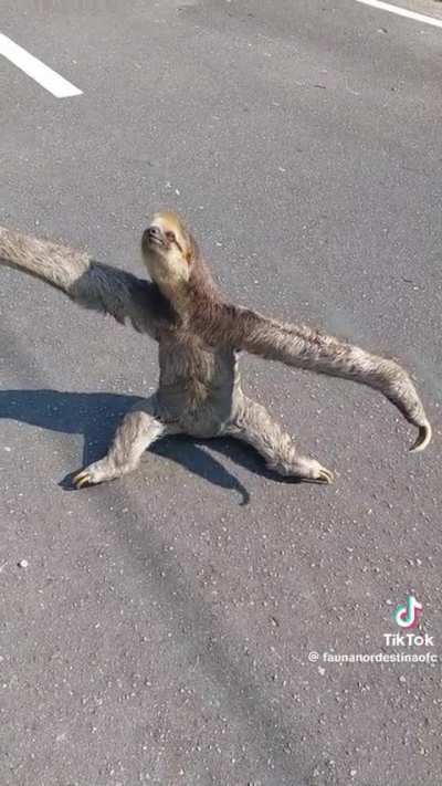 Slow Wunk stands in defiance of law