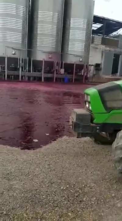 Revent&oacute;n de un dep&oacute;sito de vino de 50.000 litros en una bodega de Albacete