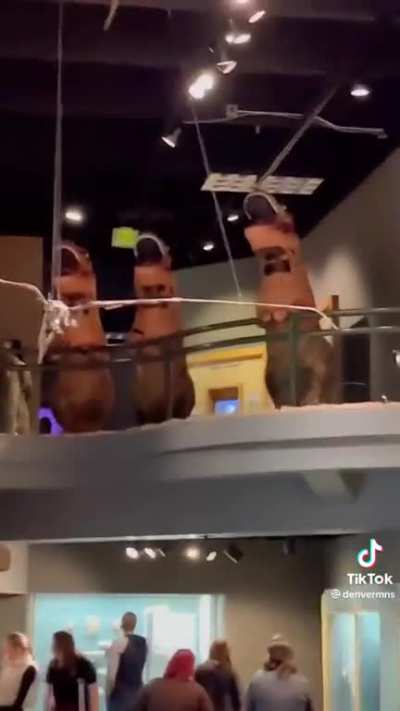 NANIKPosting - Video #1078