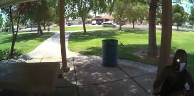 Police roll up on black woman studying in a park to inform her she isn&rsquo;t allowed to study there next week.