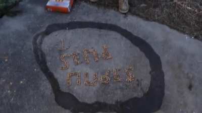 I like them Reeses Puffs