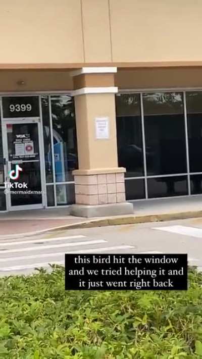 A Windex commercial.