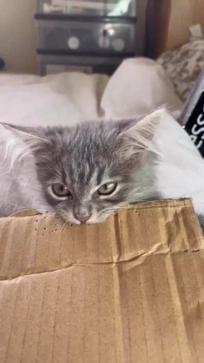 Corrugated cronch
