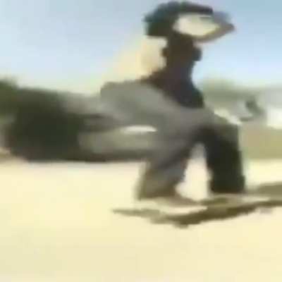 Muito foda