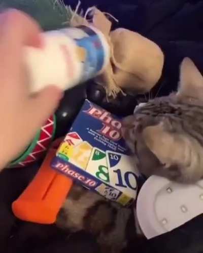 Kitty doesn't care about what&rsquo;s stacked on him.