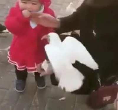 Give back bread you took