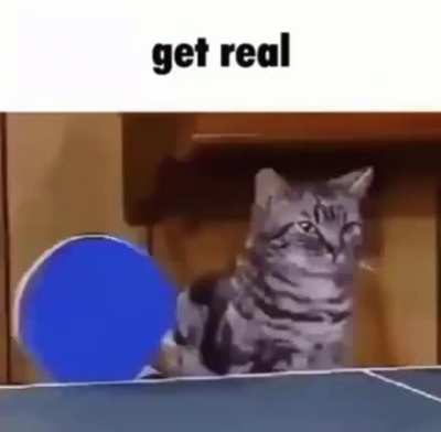 rule