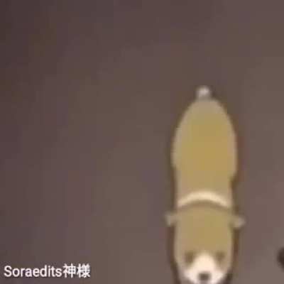 Pra quê D: