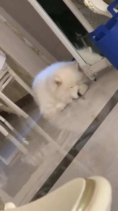 Where human