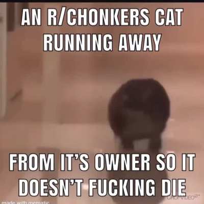 got banned in r/chonkers for posting this lmao.