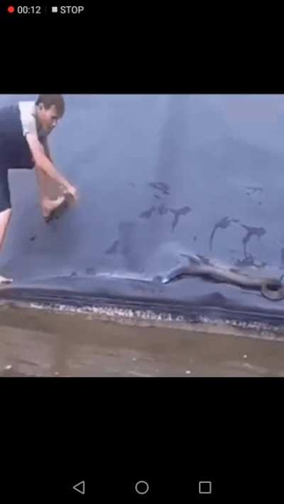 Don't worry,he's fine